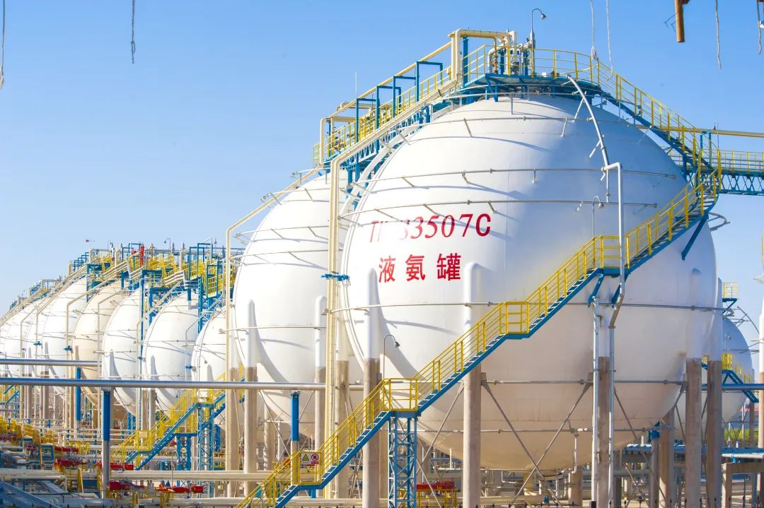 綠氫制綠氨，寧煤完成耦合示范!