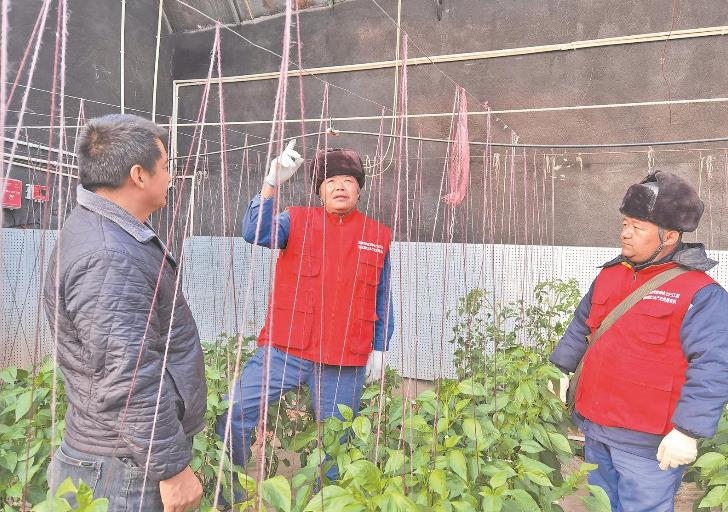 青海循化撒拉族自治縣大棚變智能，果蔬產(chǎn)量增