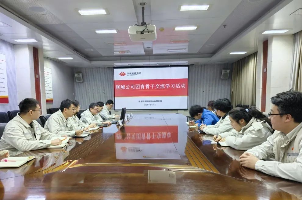 國能聊城公司舉辦團(tuán)青骨干業(yè)財(cái)融合主題研學(xué)活動聚合力啟新程
